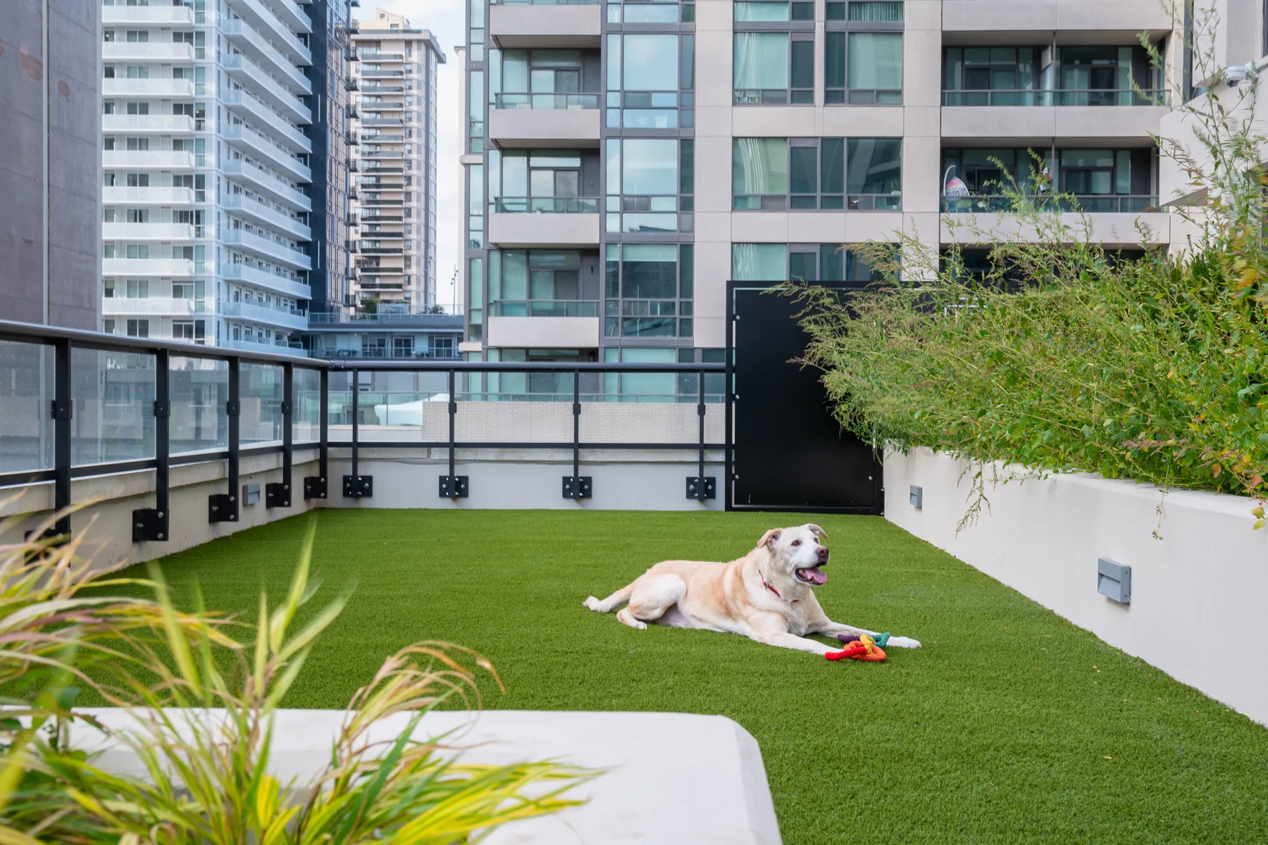 Parker Toronto luxury apartment amenities including LIDO infinity pool, gym, pet spa, co-working space, and 24/7 concierge